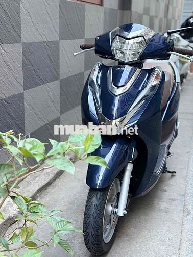 Honda Lead 4V 2023 Xanh đậm