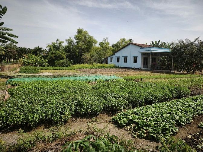 100 m2 đất tại trung tâm Phước Lợi, Long An (Gần chợ Gò Đen)