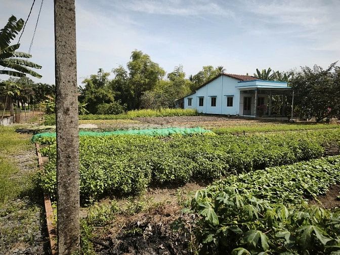 100 m2 đất tại trung tâm Phước Lợi, Long An (Gần chợ Gò Đen)