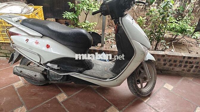 Honda Lead 110 Trắng