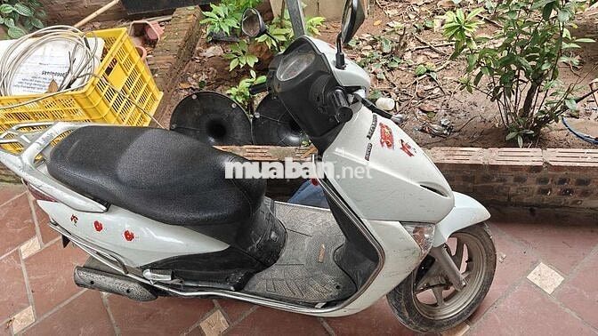 Honda Lead 110 Trắng