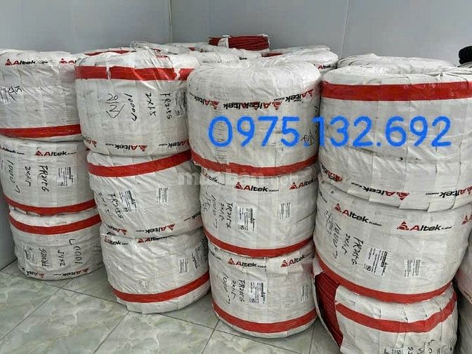 CHÁY MỚI BIẾT DÂY NÀO “SỐNG SÓT” – ĐỪNG CHỌN SAI NGAY TỪ ĐẦU