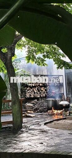 Cho thuê nhà nguyên căn tại Thôn Diêu Phong xã Bà Nà tp Đà Nẵng