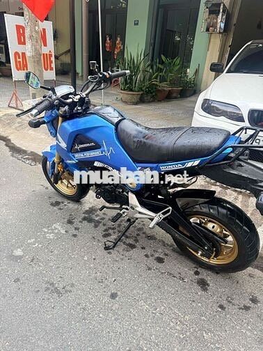 Honda MSX 2016 Xanh