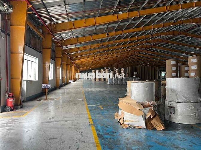 Cho thuê kho xưởng 3.200m² – Ngoài KCN Đức Hoà, Long An kế kcn tân đô