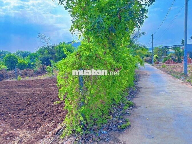 LÔ BIỆT THỰ VƯỜN 263M (10x27) | ĐỐI DIỆN CỔNG KCN SONADEZI | NGAY QL56
