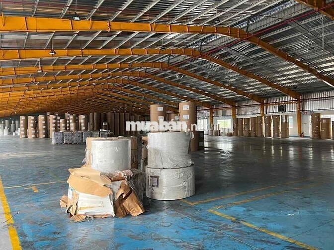 Cho thuê kho xưởng 3.200m² – Ngoài KCN Đức Hoà, Long An kế kcn tân đô