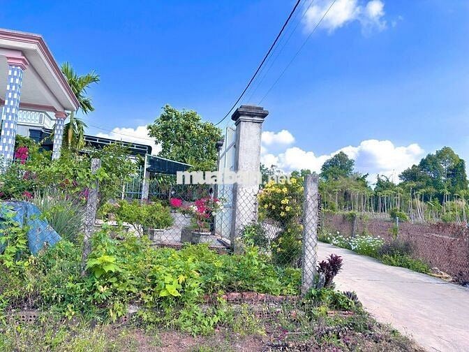 LÔ BIỆT THỰ VƯỜN 263M (10x27) | ĐỐI DIỆN CỔNG KCN SONADEZI | NGAY QL56