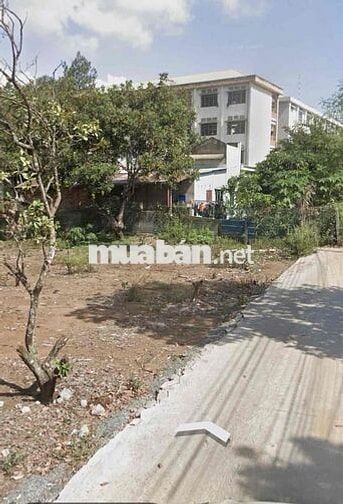 Đất TP Đồng Nai Phước Tân đất vàng ngay trường học đường ô tô tới đất