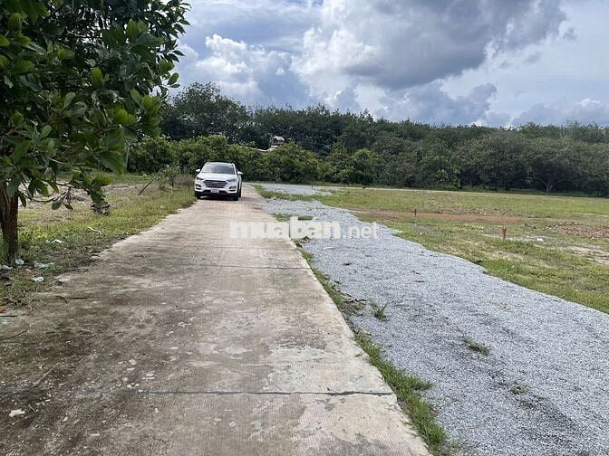 Bán Đất Gần Trường Tiểu Học Xa Lách - Tân Quan. Chính Chủ