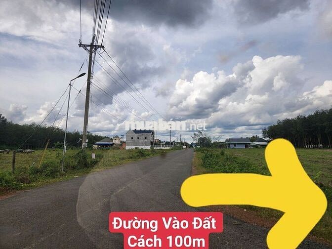 Bán Đất Gần Trường Tiểu Học Xa Lách - Tân Quan. Chính Chủ