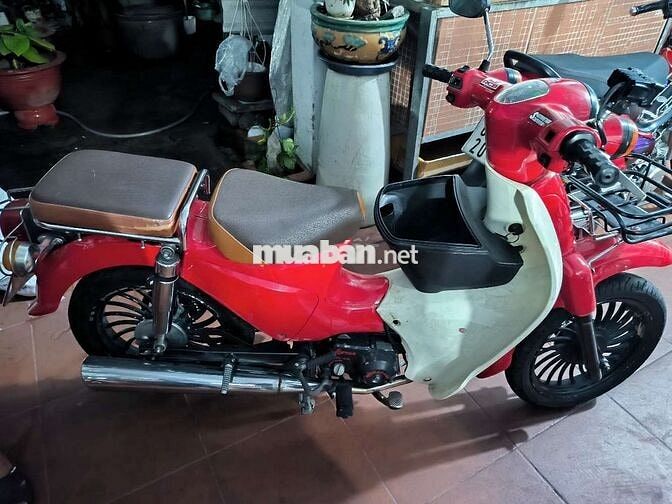Honda Cub Cánh Én Đỏ, Trắng