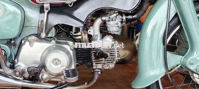 Honda Super Cub Xanh ngọc