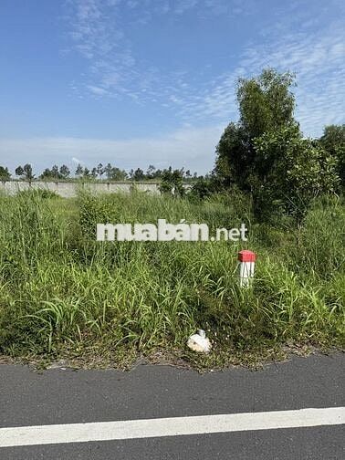 Bán Đất Mặt tiền kinh doanh Tỉnh lộ 7, Củ Chi