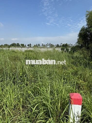 Bán Đất Mặt tiền kinh doanh Tỉnh lộ 7, Củ Chi