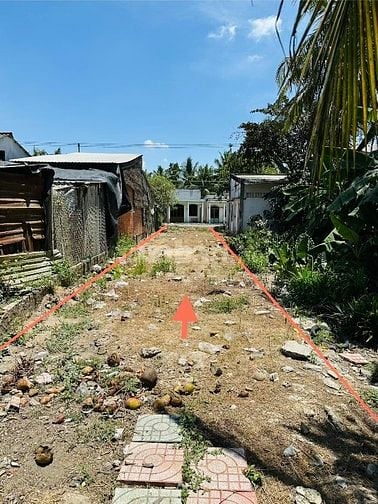 Bán đất đẹp 428m² có thổ cư – sổ riêng – MT 5.5m – gần QL60, Trà Vinh