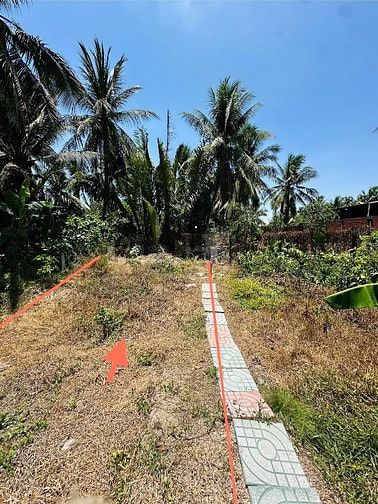 Bán đất đẹp 428m² có thổ cư – sổ riêng – MT 5.5m – gần QL60, Trà Vinh