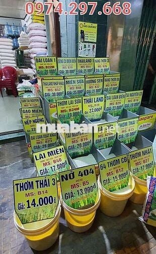 Tuyển nhân viên giao hàng bằng xe máy