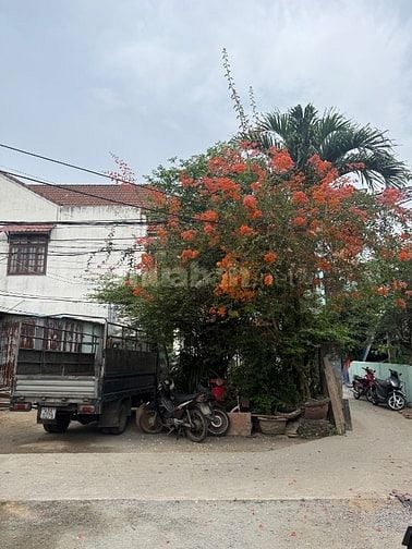 BÁN ĐẤT 2 MẶT KIỆT Ô TÔ TÔN ĐẢN VỊ TRÍ ĐẸP, GIÁ TỐT