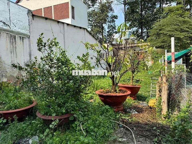 bán đất hẻm trung tâm Thủ Dầu Một