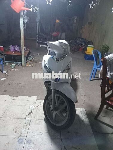 SYM Shark Trắng Tự động
