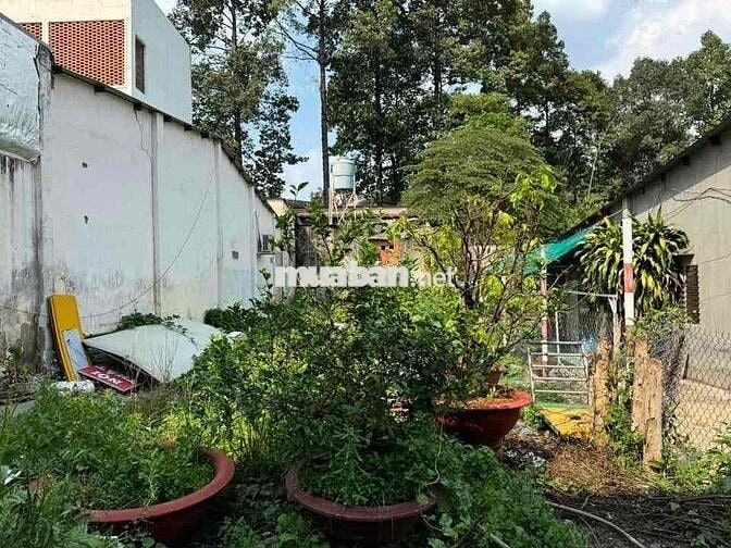 bán đất hẻm trung tâm Thủ Dầu Một