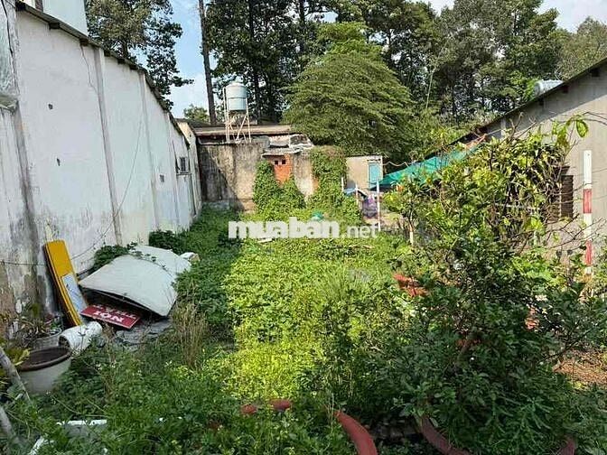 bán đất hẻm trung tâm Thủ Dầu Một