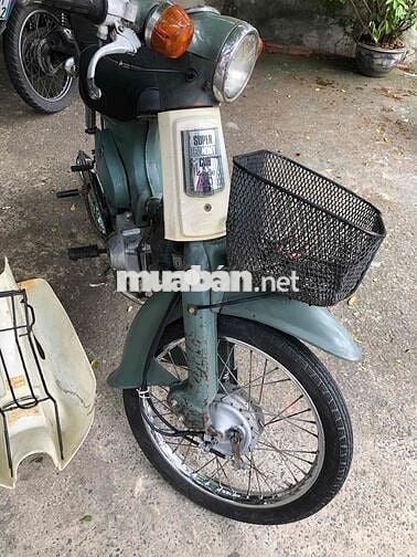 Honda Cub 81 màu Xanh