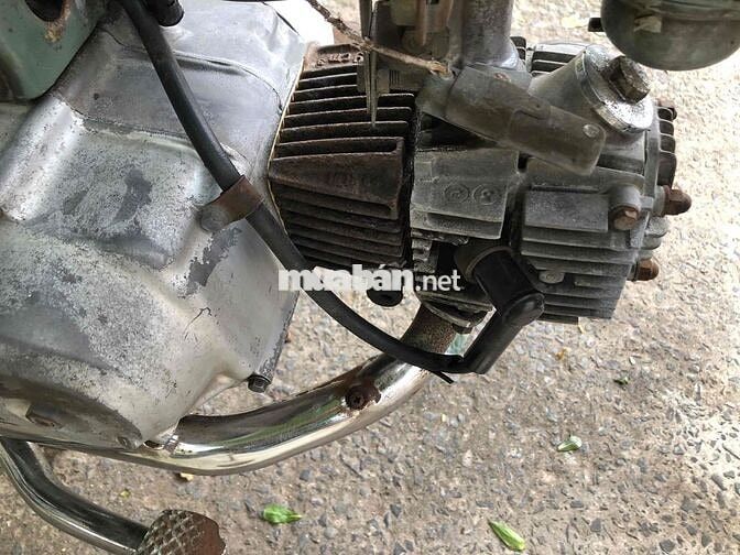 Honda Cub 81 màu Xanh