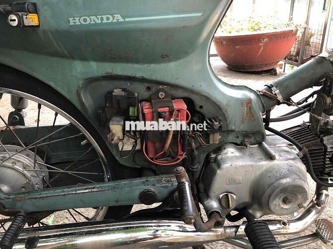 Honda Cub 81 màu Xanh