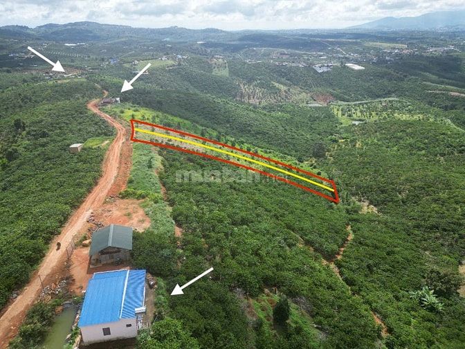 Đất 5000m2 đã tách 2 sổ, mặt tiền bê tông chỉ có 1.1ty