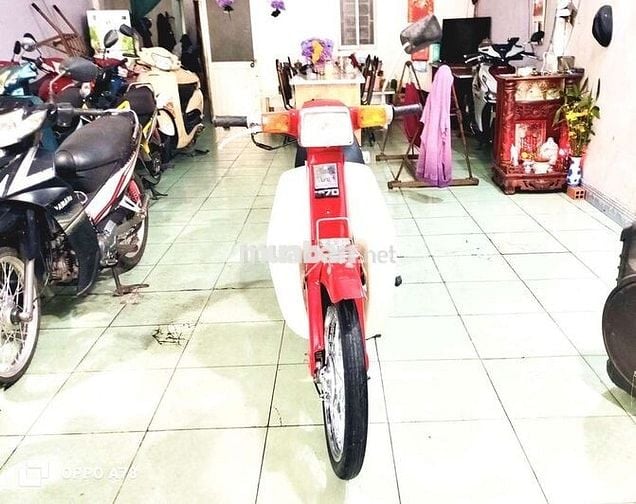 ❤️ Honda Cub dd xe huyền thoại nhẹ nỗ 🧡