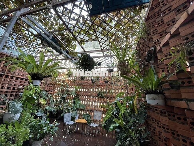 CHÍNH CHỦ CẦN BÁN NHÀ MẶT TIỀN LÊ THÁNH TÔN-QUY NHƠN
