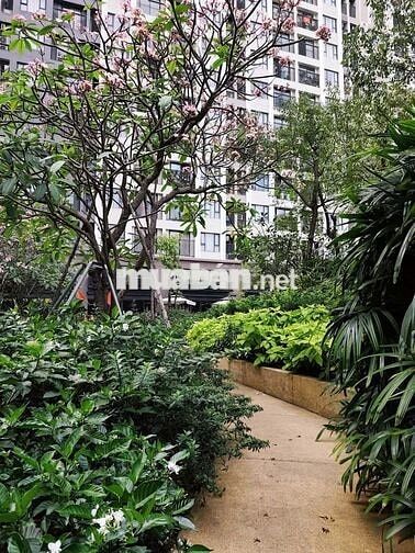 BÁN GẤP – GIẢM GIÁ MẠNH CĂN 2PN TẠI PICITY HIGH PARK - 3.07 TỶ CÓ SỔ