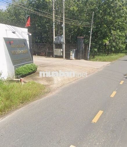 Bán 13121 m² đất Long Nguyên Bàu Bàng Bình Dương