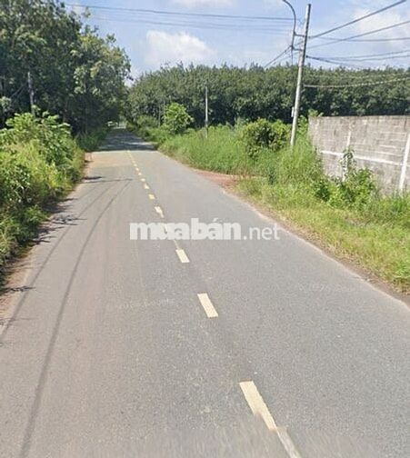 Bán 13121 m² đất Long Nguyên Bàu Bàng Bình Dương