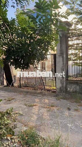 Cần bán cụm 3 lô đất Mặt tiền Quốc Lộ 1A - Hòa Xuân - Đà Nẵng