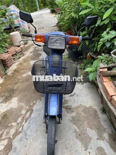 Honda Cub 82 Xanh đèn vuông