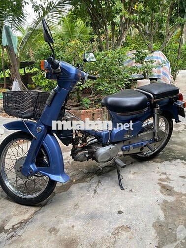 Honda Cub 82 Xanh đèn vuông