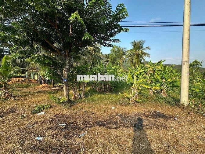 ĐẤT nhà ở Hoài Nhơn khu dân cư mới đẹp.
