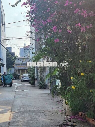 BÁN ĐẤT HẺM XE HƠI PHẠM ĐĂNG GIẢNG, BÌNH HƯNG HÒA, BÌNH TÂN 4,2X16M2, 