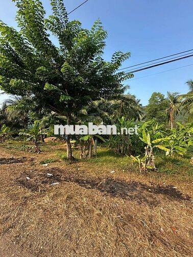 ĐẤT nhà ở Hoài Nhơn khu dân cư mới đẹp.