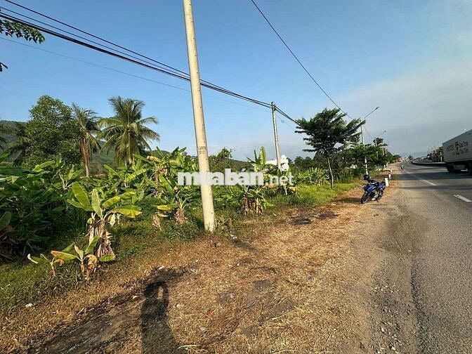 ĐẤT nhà ở Hoài Nhơn khu dân cư mới đẹp.