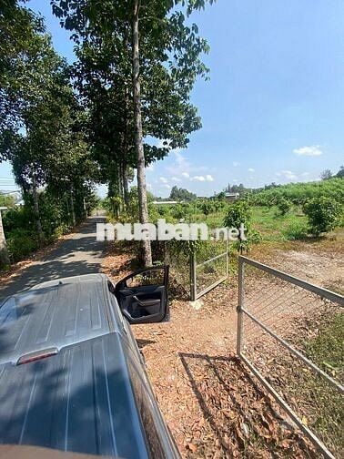 ĐẤT NGHỈ DƯỠNG HOMESTAY THƯƠNG MẠI  PHÂN LÔ PHƯỜNG TRỊ AN TP ĐỒNG NAI