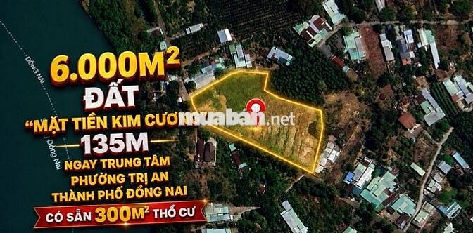 ĐẤT NGHỈ DƯỠNG HOMESTAY THƯƠNG MẠI  PHÂN LÔ PHƯỜNG TRỊ AN TP ĐỒNG NAI