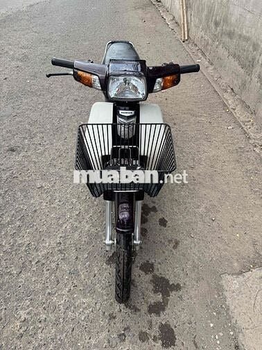 Honda Super Dream Nâu, Trắng