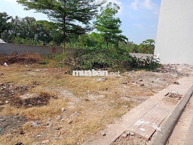 Bán nhanh lô đất, THỔ CƯ, 62m2, SHR, Quận Bình Tân