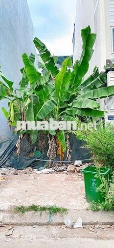 BÁN GẤP ĐẤT NỀN KDC 13E INTRESCO – XÃ BÌNH HƯNG, TP.HCM