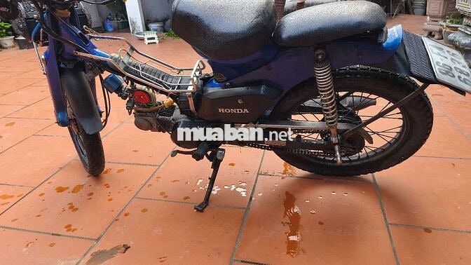 Honda Xe máy màu Xanh