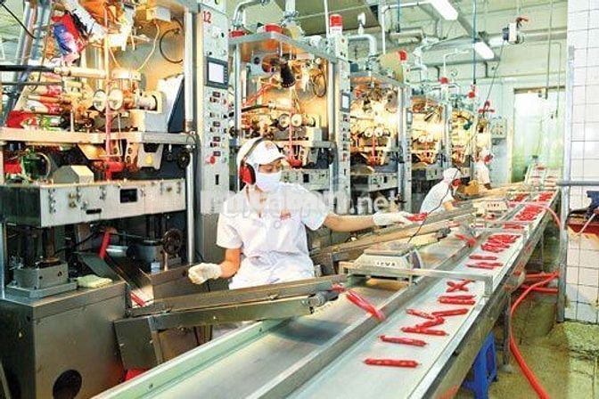 NHÂN VIÊN CHẾ BIẾN _ THƯỞNG 2.200.000 _ BAO CƠM